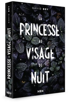 La princesse au visage de nuit