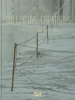 Silja yvette collective creatures