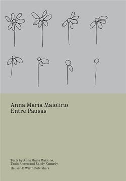 Anna maria maiolino: entre pausas
