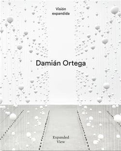 Damián Ortega : Expanded view