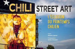 Chili street art : l'éclosion du printemps chilien