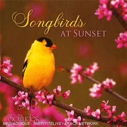 Songbirds at sunset