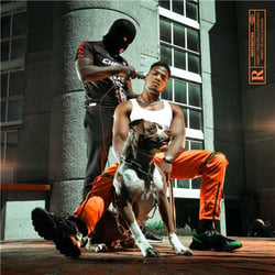 Mr Sal - édition limitée