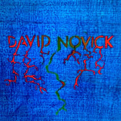 David Novick