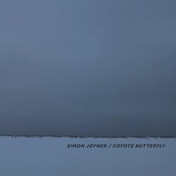 Coyote Butterfly