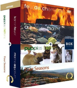 Coffret feu de cheminée - aquarium - chiots et chatons - quatre saisons