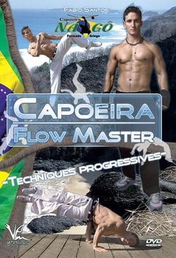 Capoeira Flow Master : Techniques de base