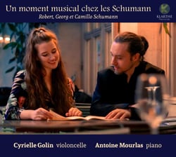 Un moment musical chez les Schumann