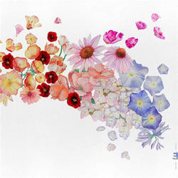 Flor - Gretchen Parlato
