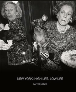 Dafydd Jones New York : High life, low life