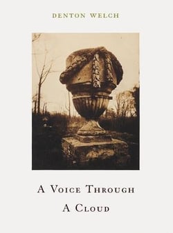 Denton welch a voice through a cloud