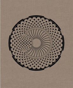 Collected works Tome 2 20002012 Caruso St John