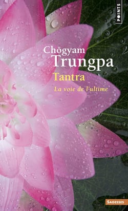 Tantra - la voie de l'ultime