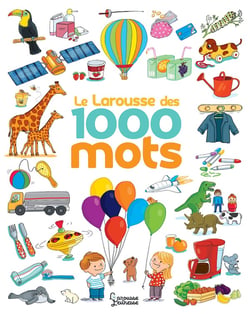 Le Larousse des 1 000 mots NE