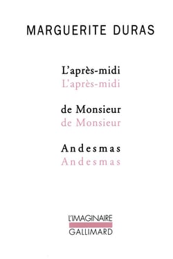 L'apres-midi de monsieur Andesmas