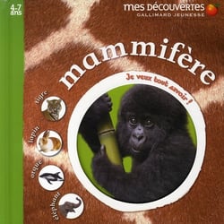 Mammifère