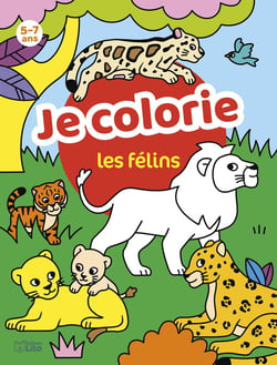 Mes colo docu les felins