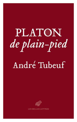 Platon de plain-pied