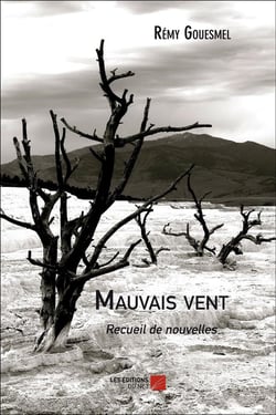 Mauvais vent