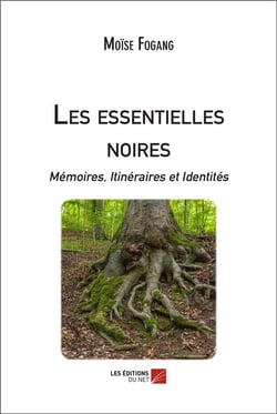 Les essentielles noires : Mémoires, itinéraires et identités