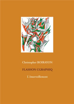 Flashon cgraphiq - l'émerveillement