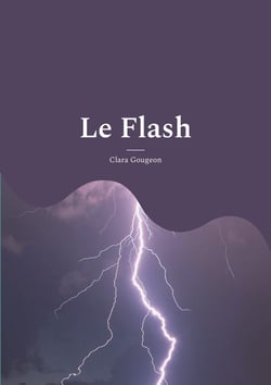 Le Flash : Recueil de poèmes