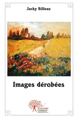 Images dérobées