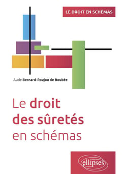 Le droit des sûretés en schémas : A jour au 30 avril 2024