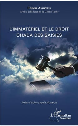 L'immatériel et le droit Ohada des saisies