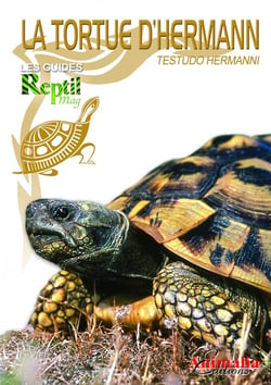 La tortue d'Hermann