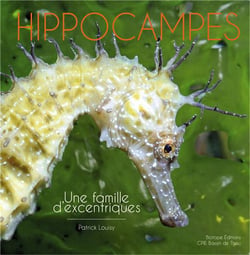 Hippocampes - une famille d'excentriques