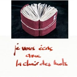Je vous écris avec la chair des mots