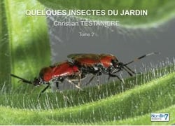 Quelques insectes du jardin t.2