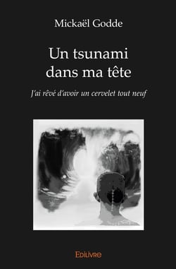 Un tsunami dans ma tête : J'ai rêvé d'avoir un cervelet tout neuf
