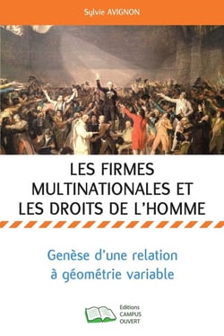 Les firmes multinationales et les droits de l'homme : genèse d'une rélation à géométrie variable