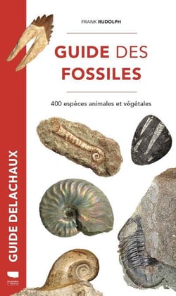 Guide des fossiles - 400 espèces fossiles végétales et animales
