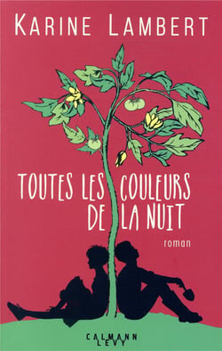 Toutes les couleurs de la nuit