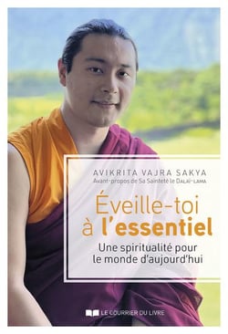 Éveille-toi à l'essentiel : une spiritualité pour le monde d'aujourd'hui