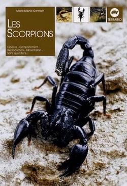 Les scorpions - espèces, comportement, reproduction, alimentation, soins quotidiens...