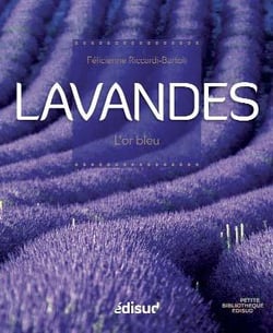 Lavandes