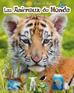 Tout un monde en photos : les animaux du monde