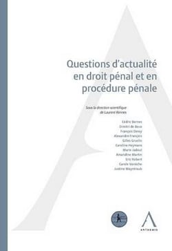 QUESTIONS D ACTUALITE EN DROIT PENAL ET EN PROCEDURE PENALE