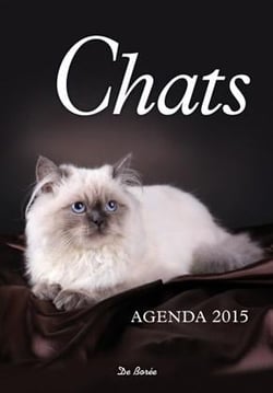 Agenda 2015 - chats