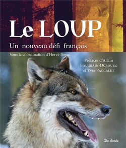 Le loup - un nouveau défi français