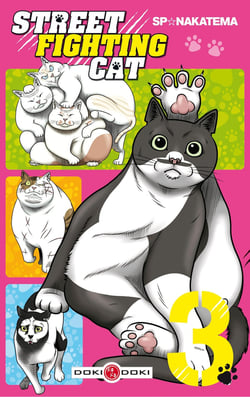 Street fighting cat Tome 3