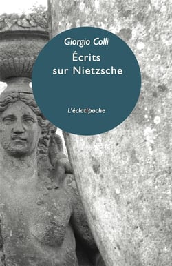 Écrits sur Nietzsche