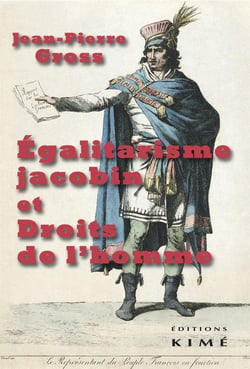 Égalitarisme jacobin et droits de l'homme (1793-1794)
