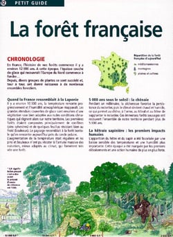 La forêt française