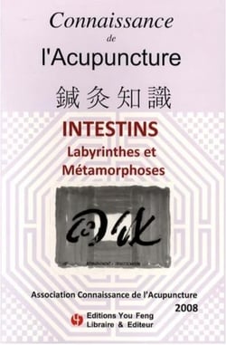 Connaissance de l'acupuncture 2008 - intestins : labyrinthes et metamorphoses