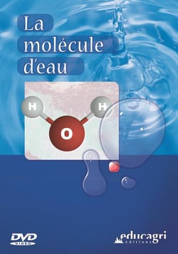 La molécule d'eau